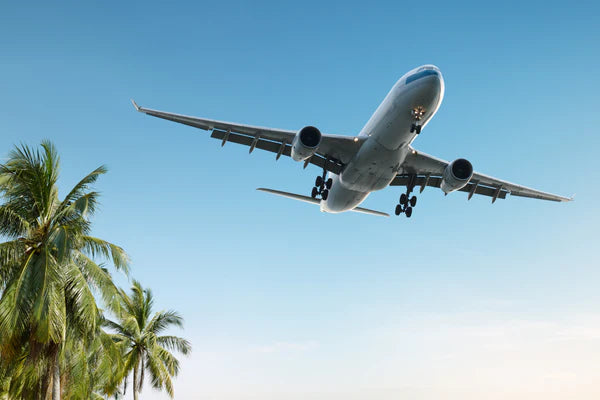 Fuel Your Performance: Travel Nutrition Strategies for Athletes
