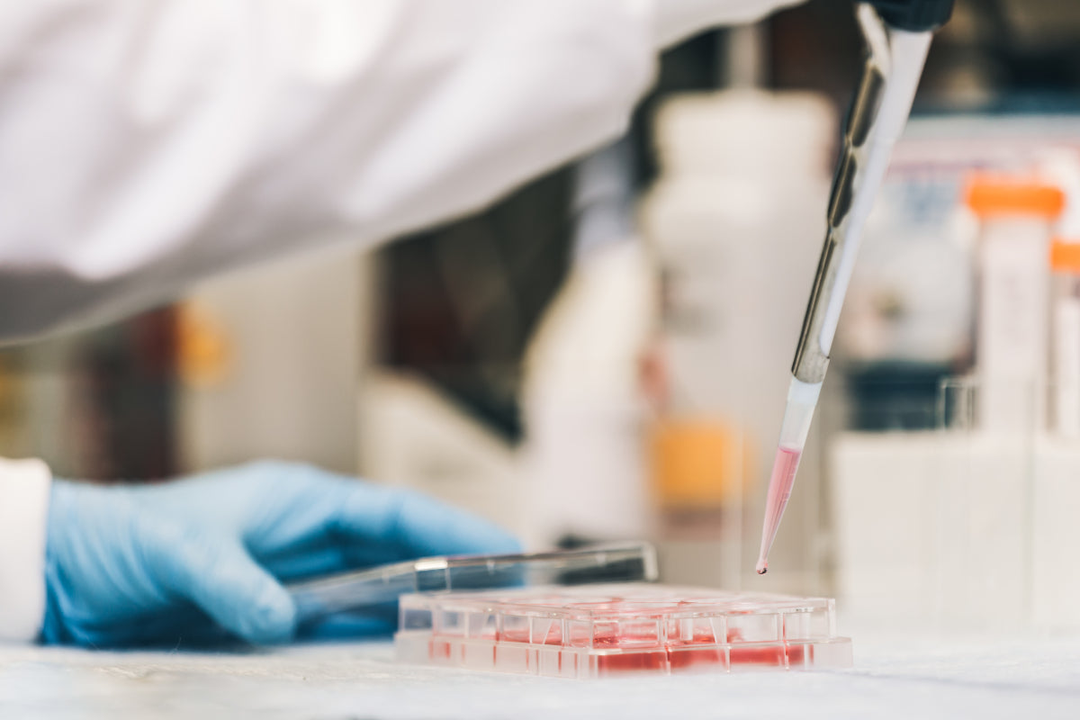 testing products with science