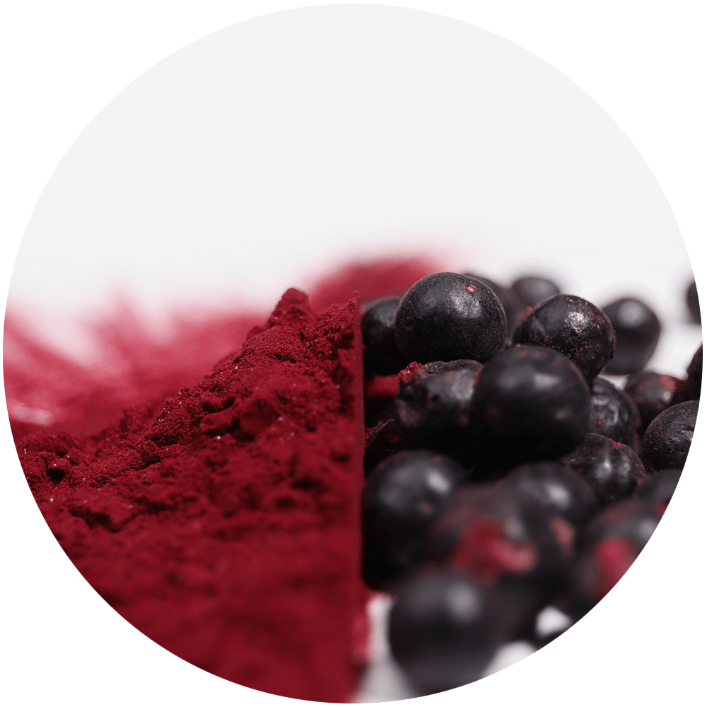 black currant - fresh and powder form