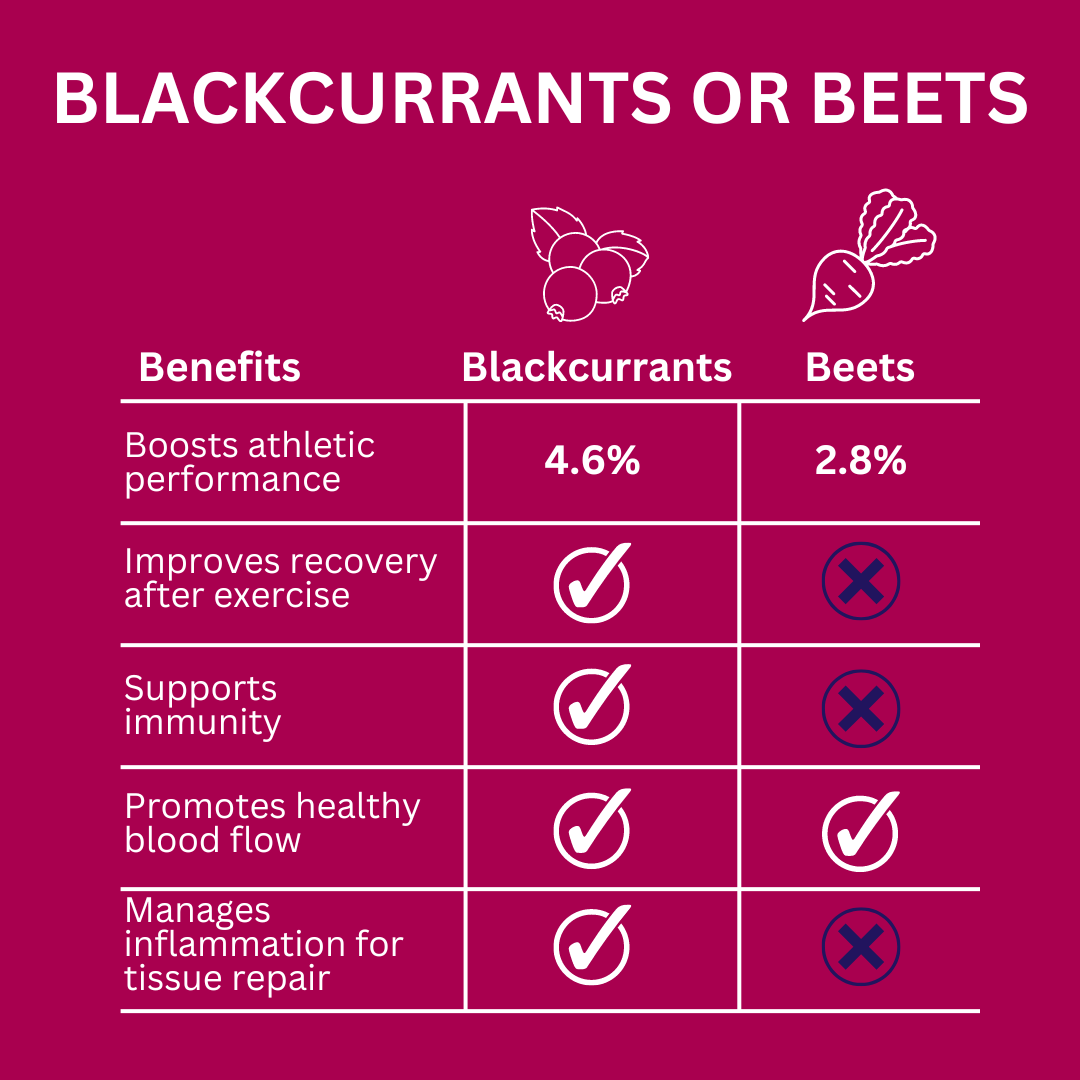 Why blackcurrants are better than beets for athletes and performance